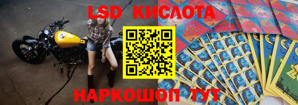 Кингисепп  ЛСД экстази кислота  Вход с VPN  ЛСД экстази кислота 