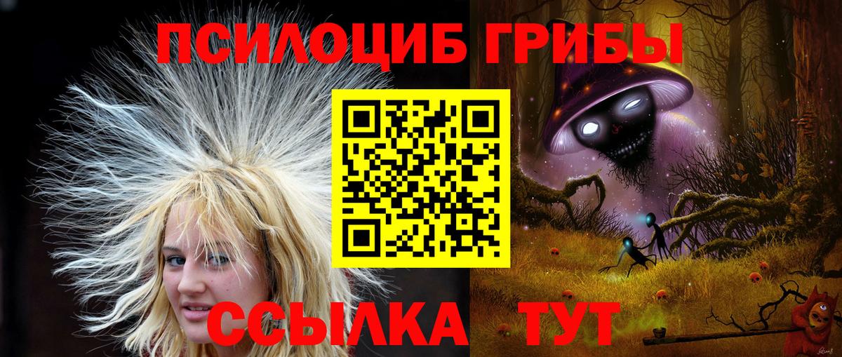 Галлюциногенные грибы MAGIC MUSHROOMS Кингисепп