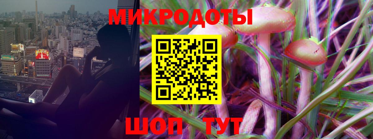 Галлюциногенные грибы GOLDEN TEACHER  Вход с VPN  купить наркотики цена  Галлюциногенные грибы Cubensis  Кингисепп 